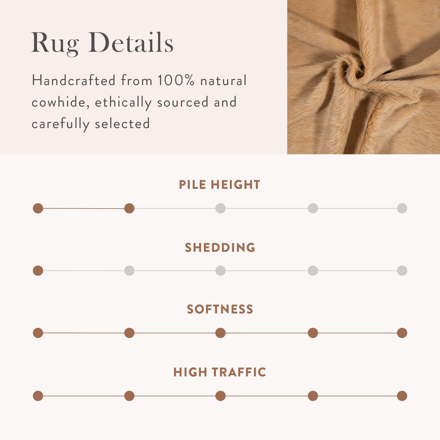 Palomino Brazilian Cowhide Rug: LARGE