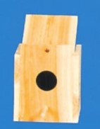 NESTING BOX PARAKEET, REVERSE