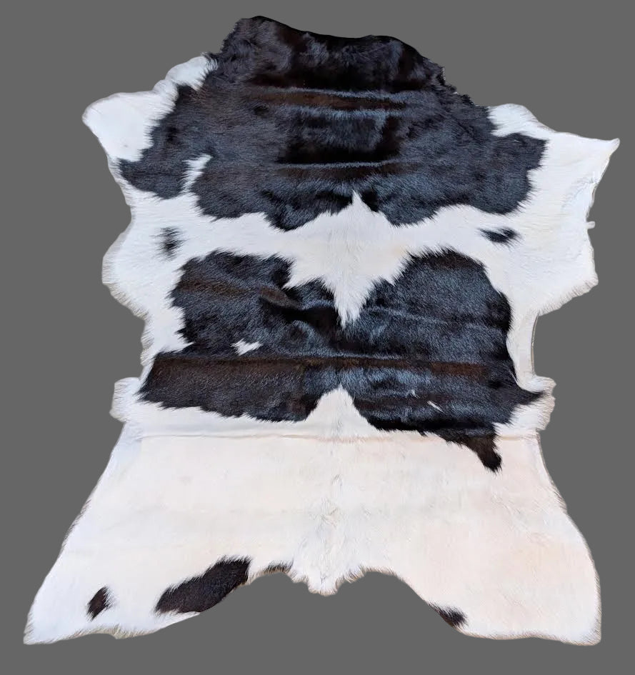 Calf Hide "Bandit"