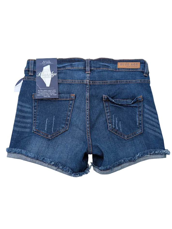 Blue Age Collection Rose Embroidered Denim Shorts – Curve Control