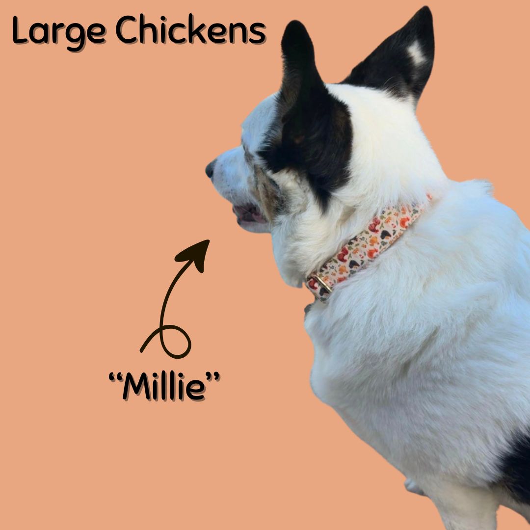 Boop Town Durable Soft Cotton Dog Collar With Nylon Core Quick Release Metal Buckle Adjustable for Girls Boys Small Medium Large Comfortable Pet Products Reduces Hair Matting Gold Tone Zinc Alloy Hardware