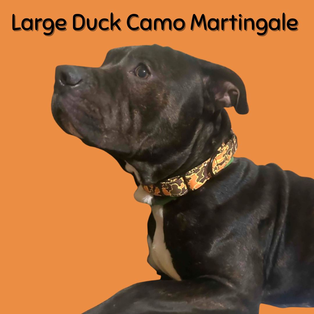 Boop Town Durable Soft Cotton Dog Collar With Nylon Core Quick Release Metal Buckle Adjustable for Girls Boys Small Medium Large Comfortable Pet Products Reduces Hair Matting Gold Tone Zinc Alloy Hardware