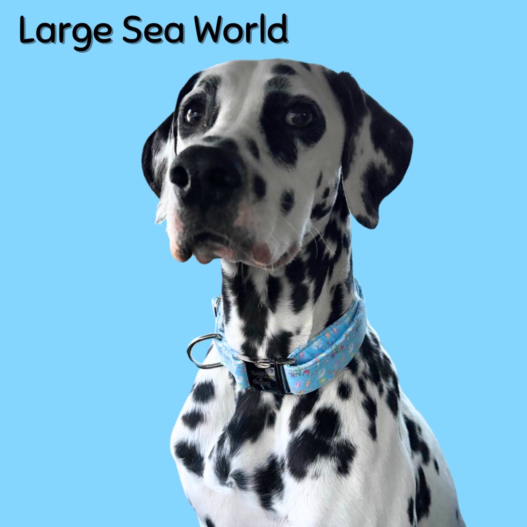 Boop Town Durable Soft Cotton Dog Collar With Nylon Core Quick Release Metal Buckle Adjustable for Girls Boys Small Medium Large Comfortable Pet Products Reduces Hair Matting Gold Tone Zinc Alloy Hardware