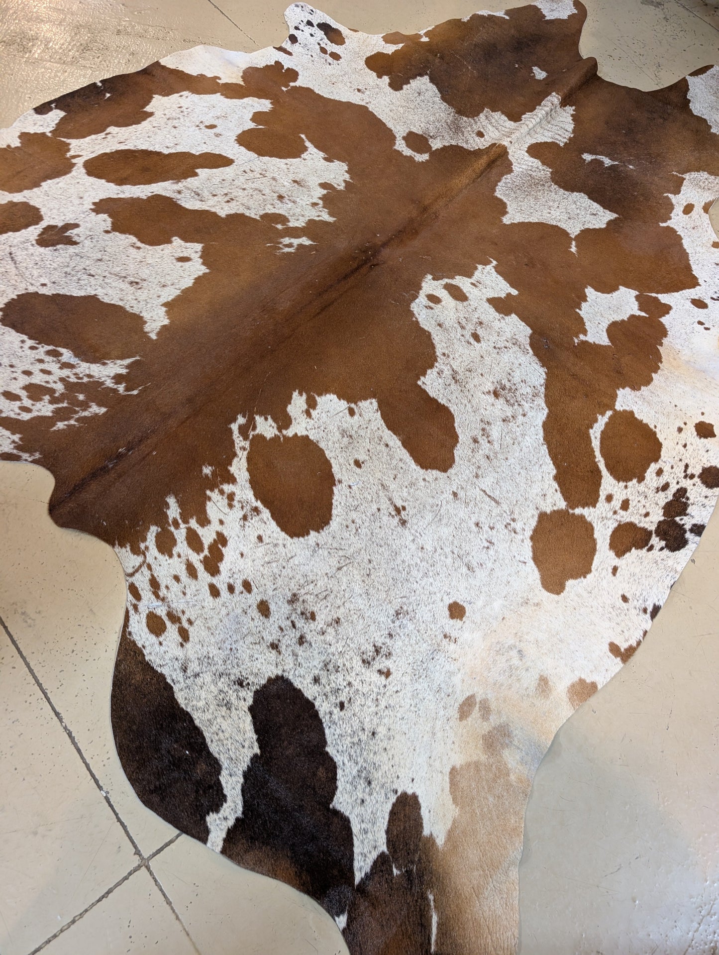 "Bossy" Full Cowhide