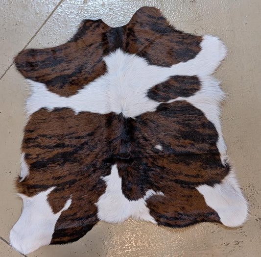 Calf Hide "Elvis"