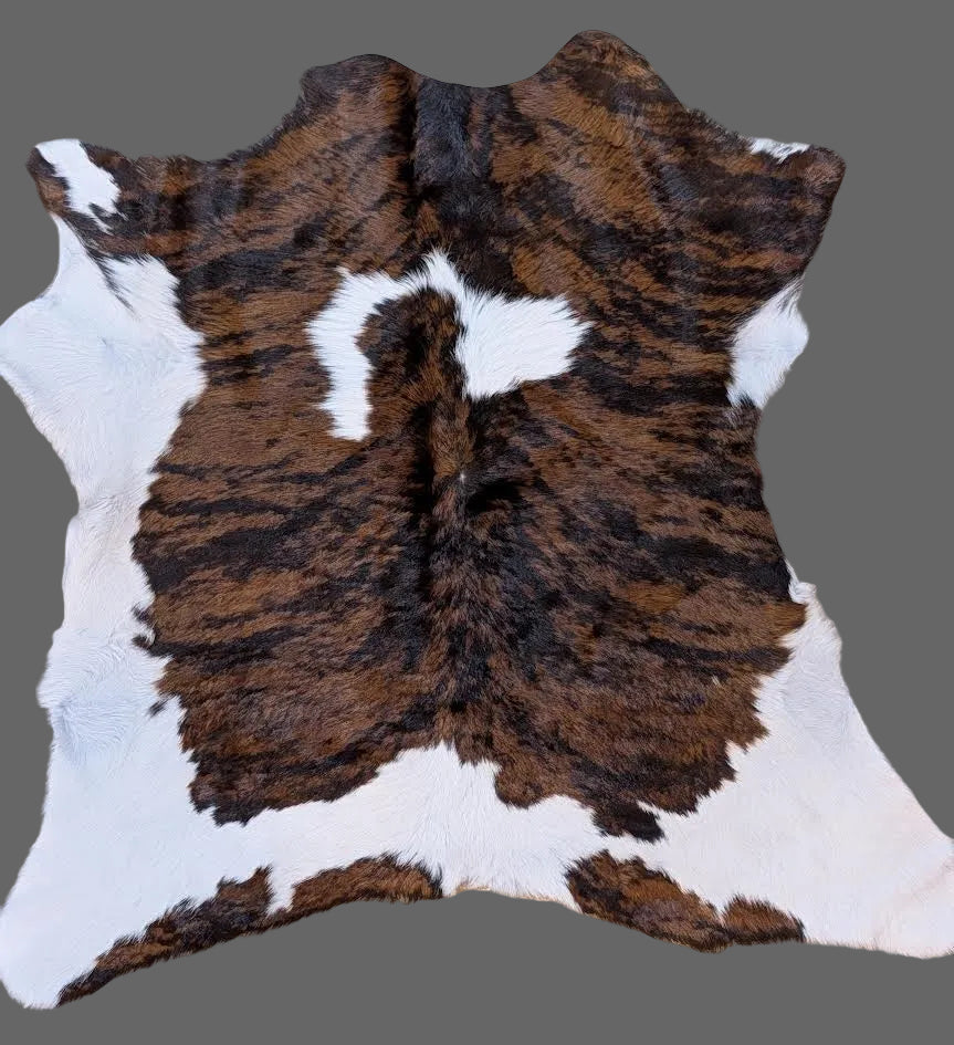 Calf Hide "Pitbull"