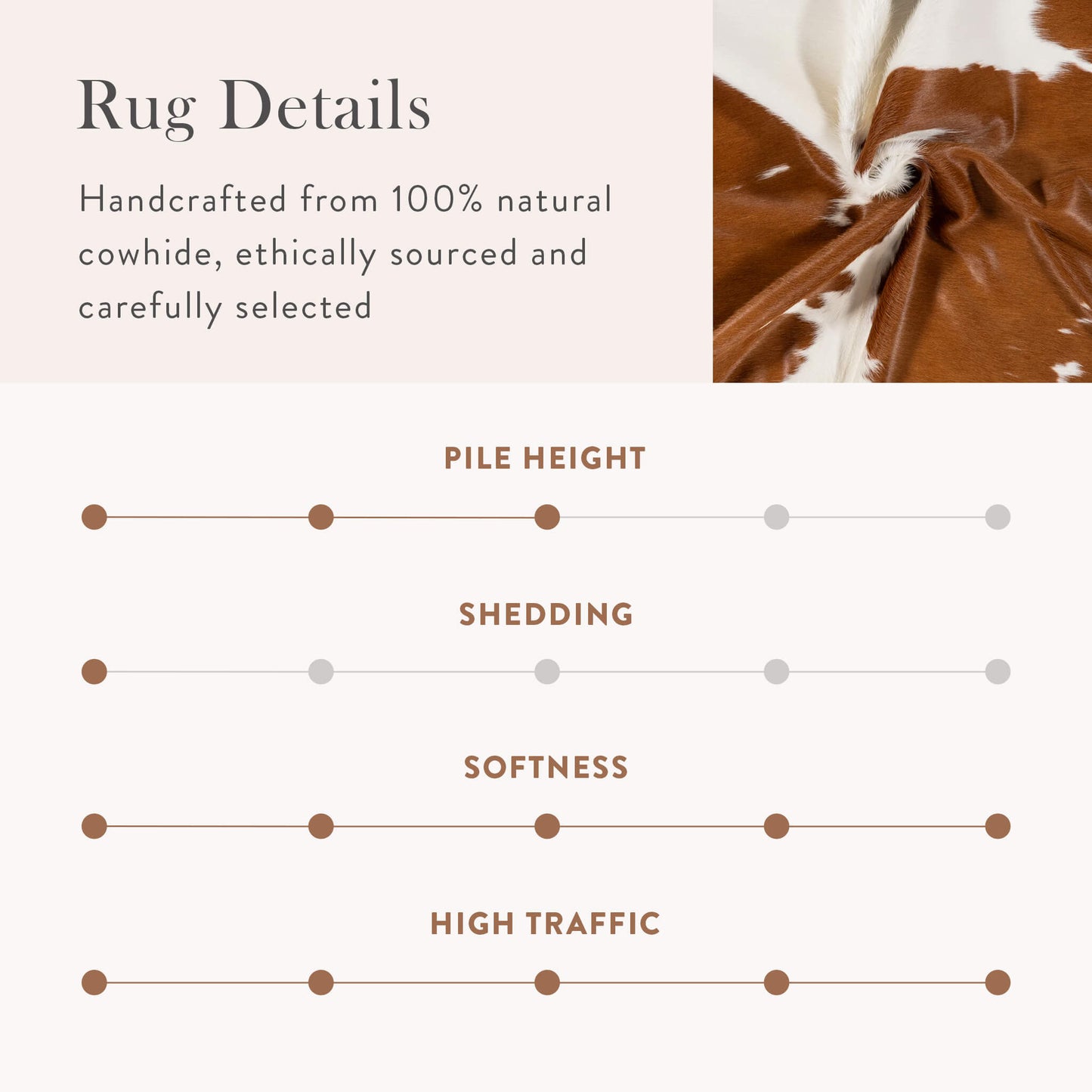 Brown and White Brazilian Cowhide Rug: LARGE