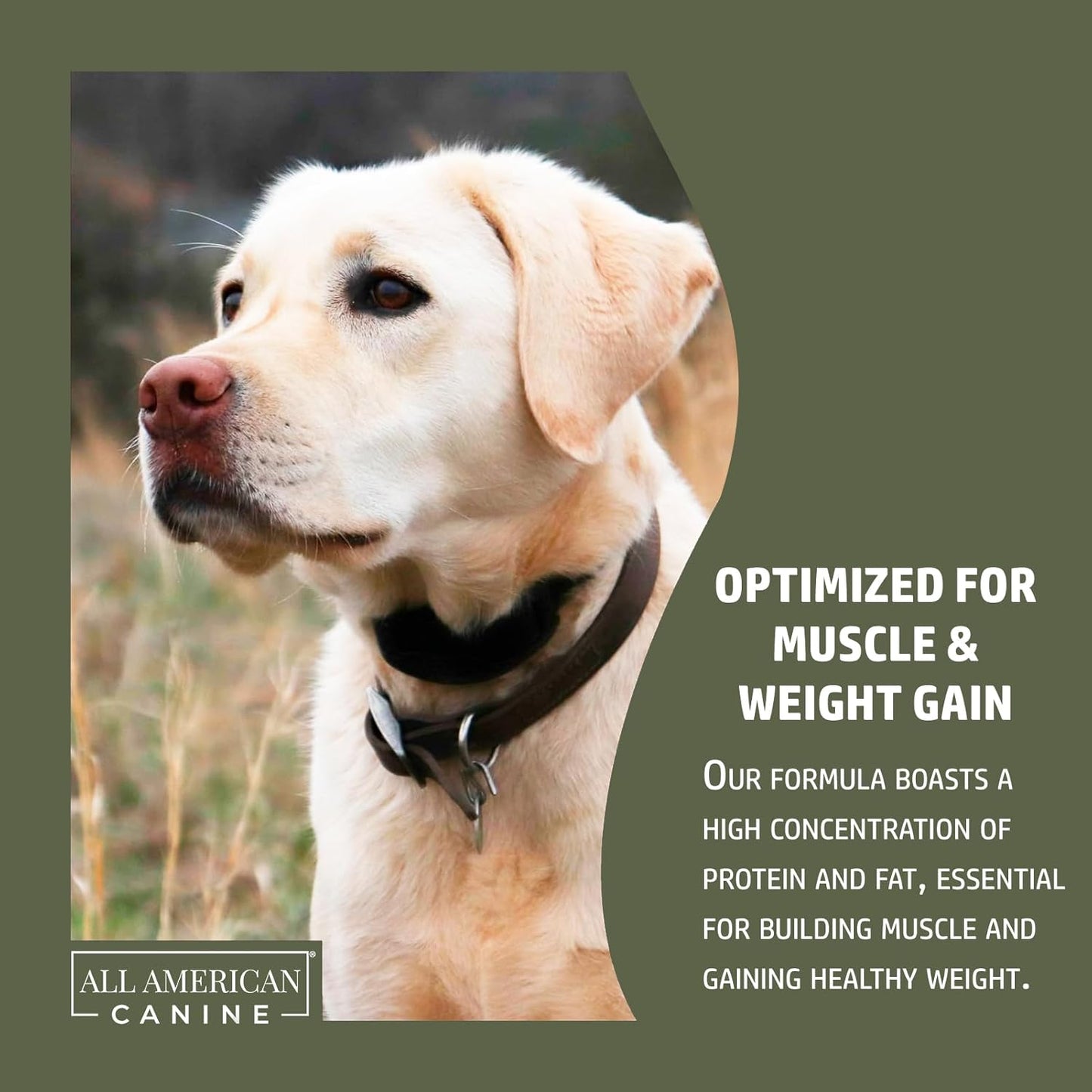 Bulk & Bark Weight Gainer + Digestive Aid Food Topper