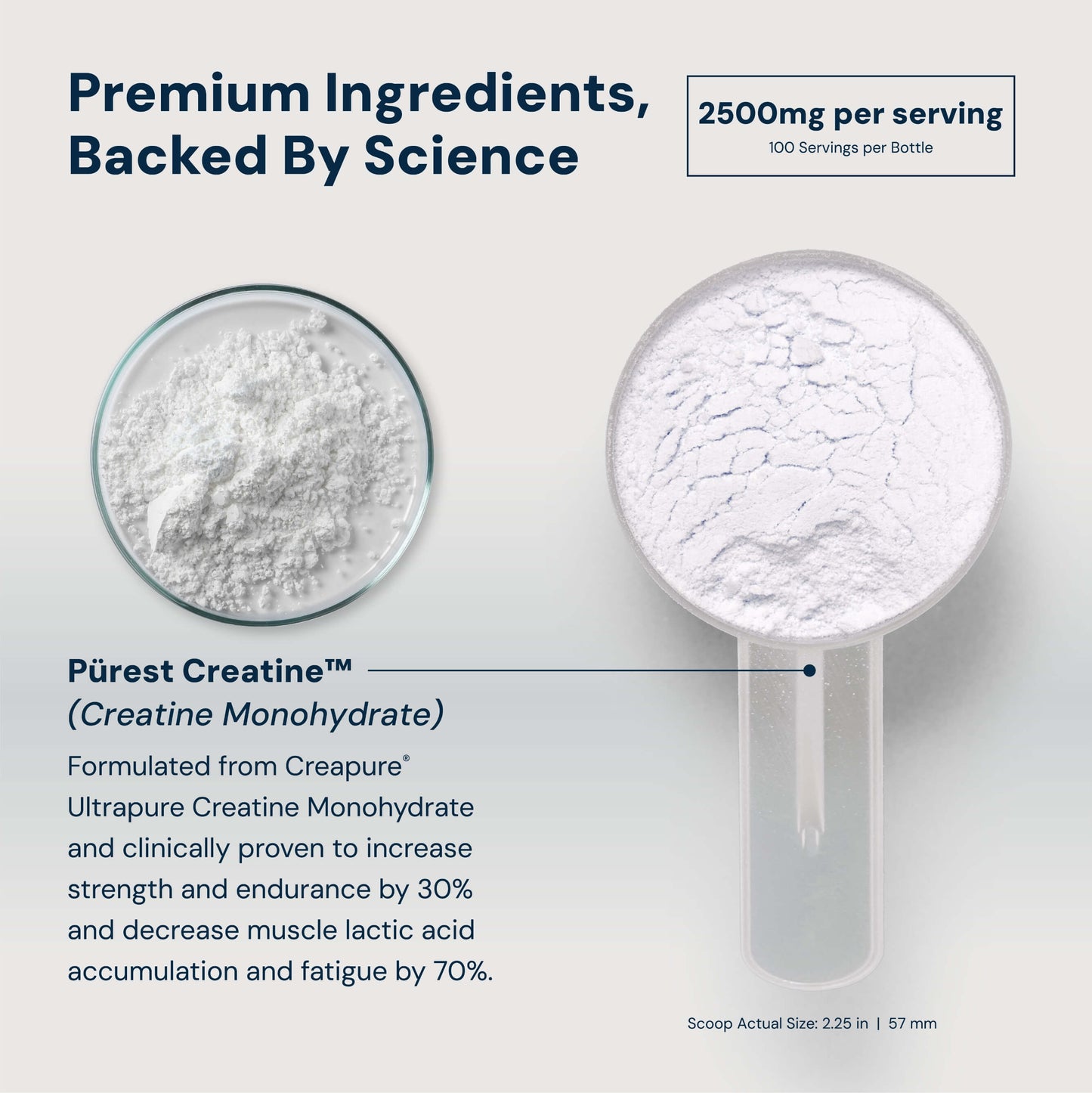 C2 Pürest Creatine™
