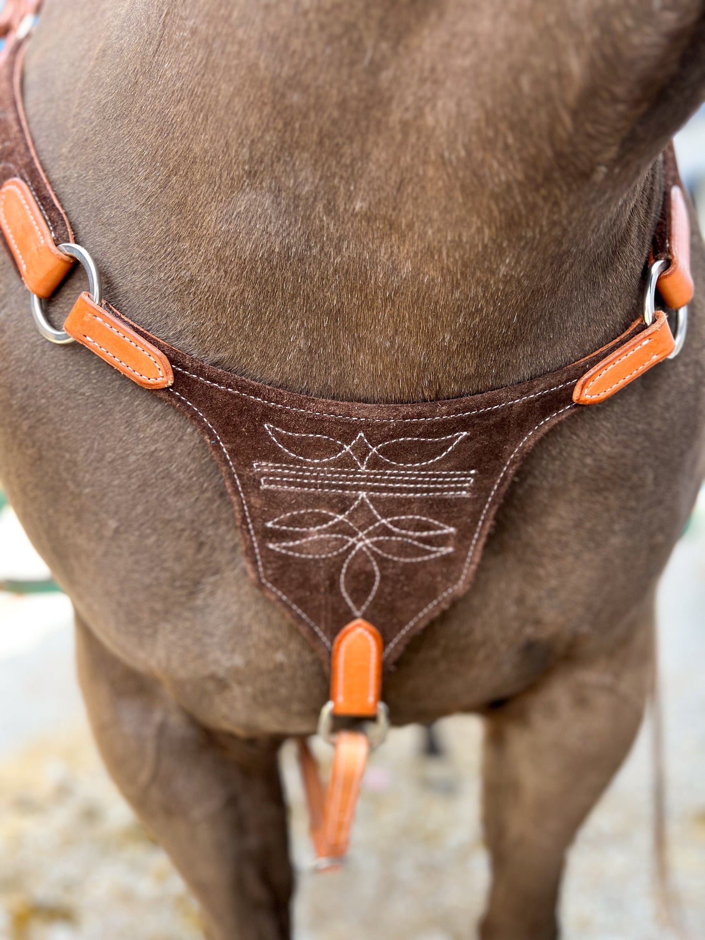 Chocolate Suede Bootstitch Bikini Breast Collar
