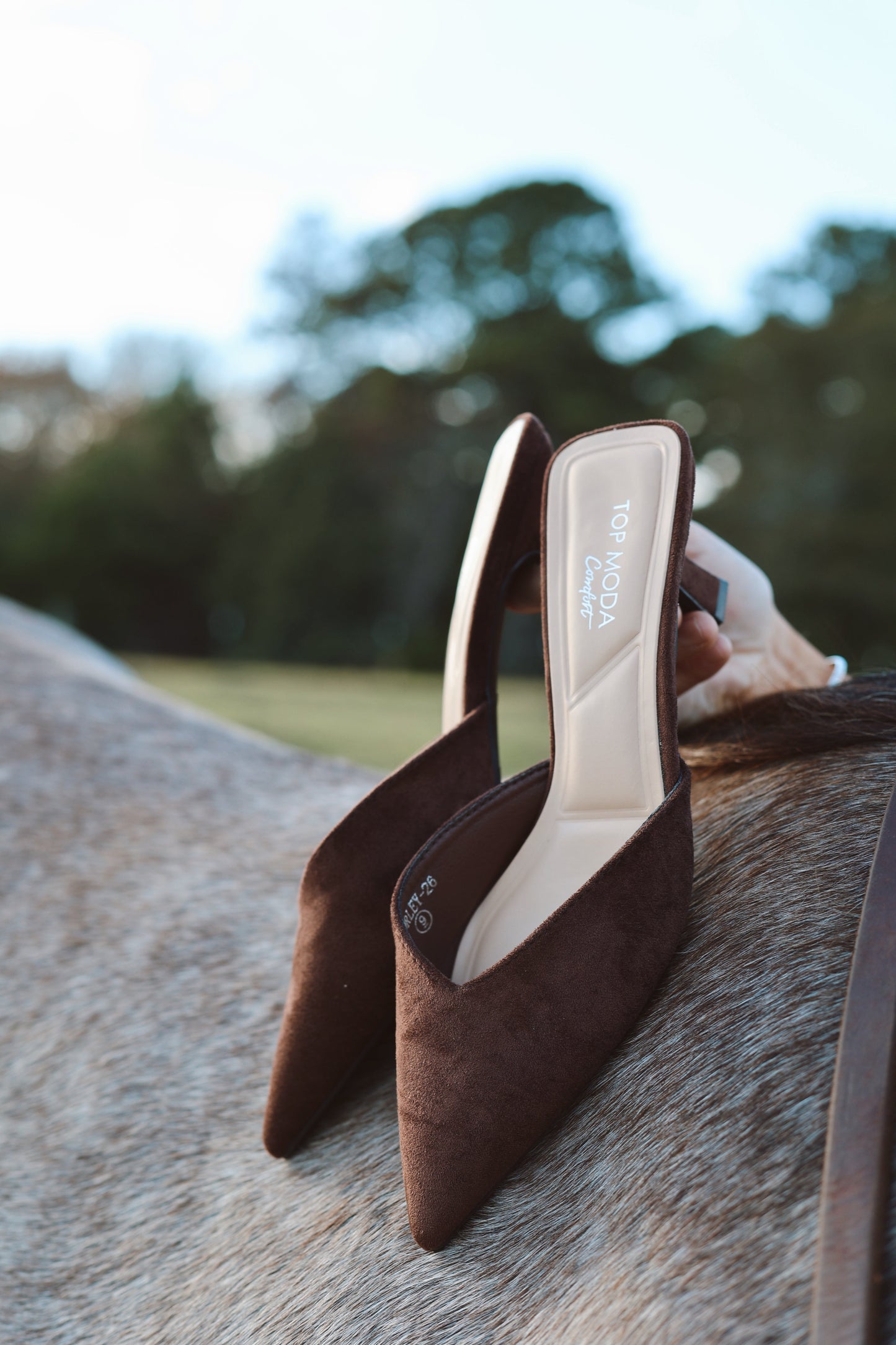 The Kitten Heel- Chocolate