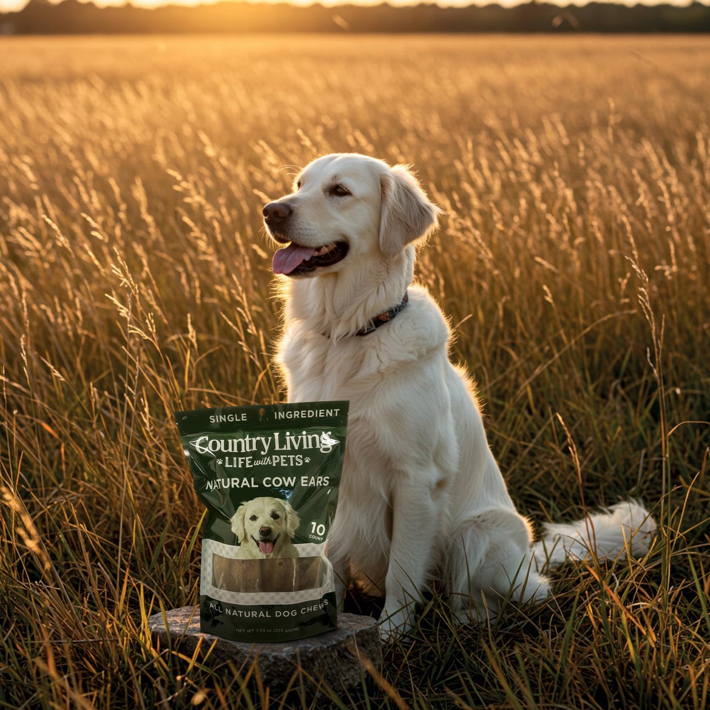 Country Living Natural Cow Ears Dog Chews – 10 Count Bag – All-Natural, Single-Ingredient, Long-Lasting Dog Chews – High-Protein, Low-Fat, Rawhide-Free – Supports Dental Health
