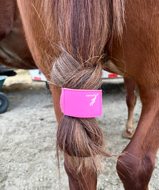TailCinch™ Tail Tie CUFF (XL)