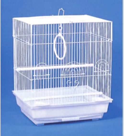 M. 14X11 MULTI COLOR