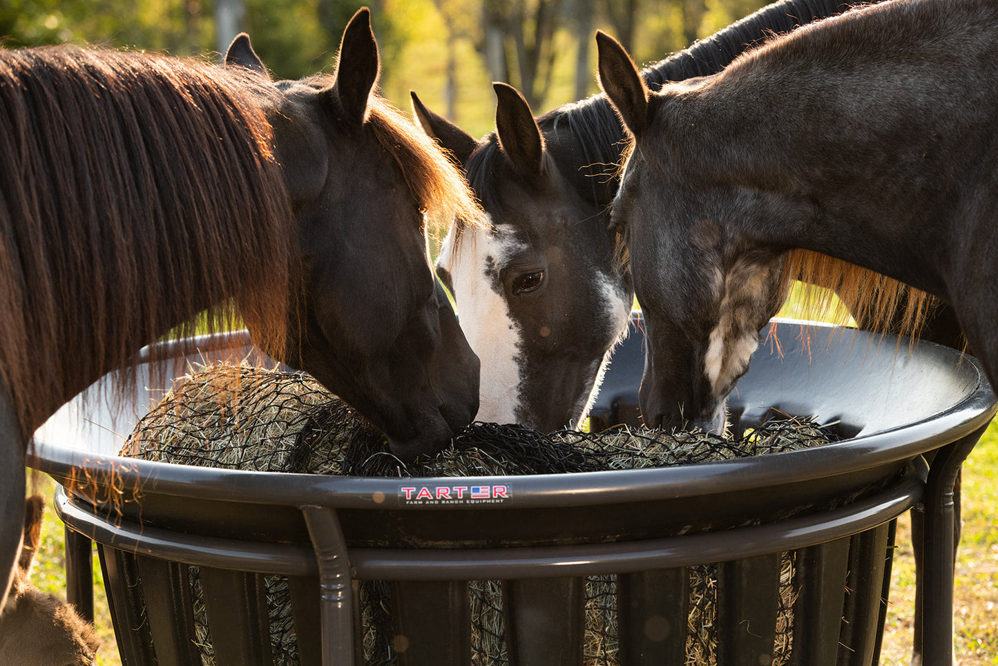 Hay Net for Tarter Equine Hay Basket (Basket Sold Separately)