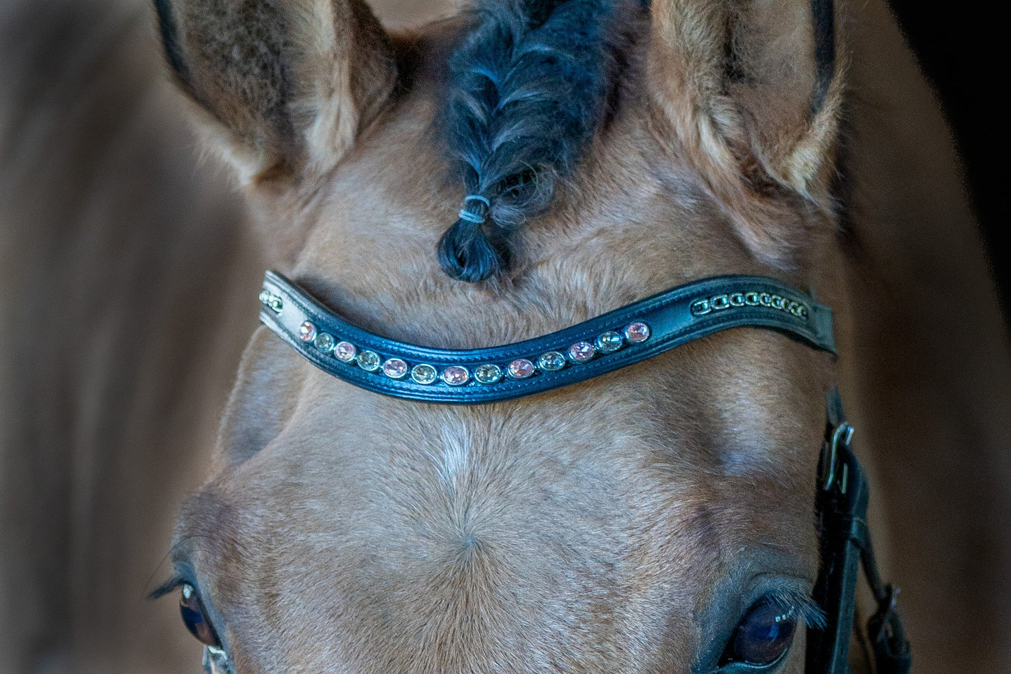 Champagne Chain Browband