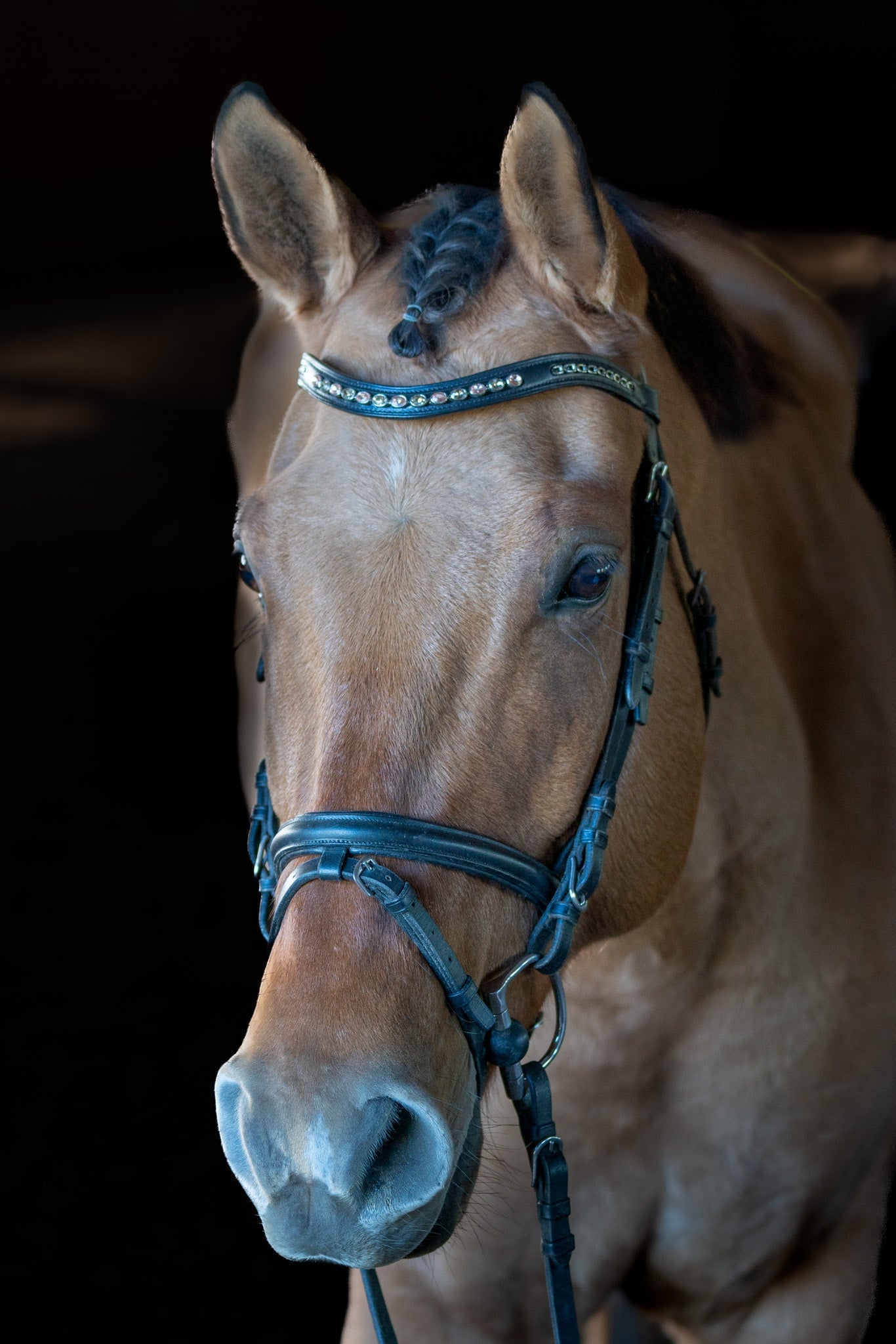 Champagne Chain Browband