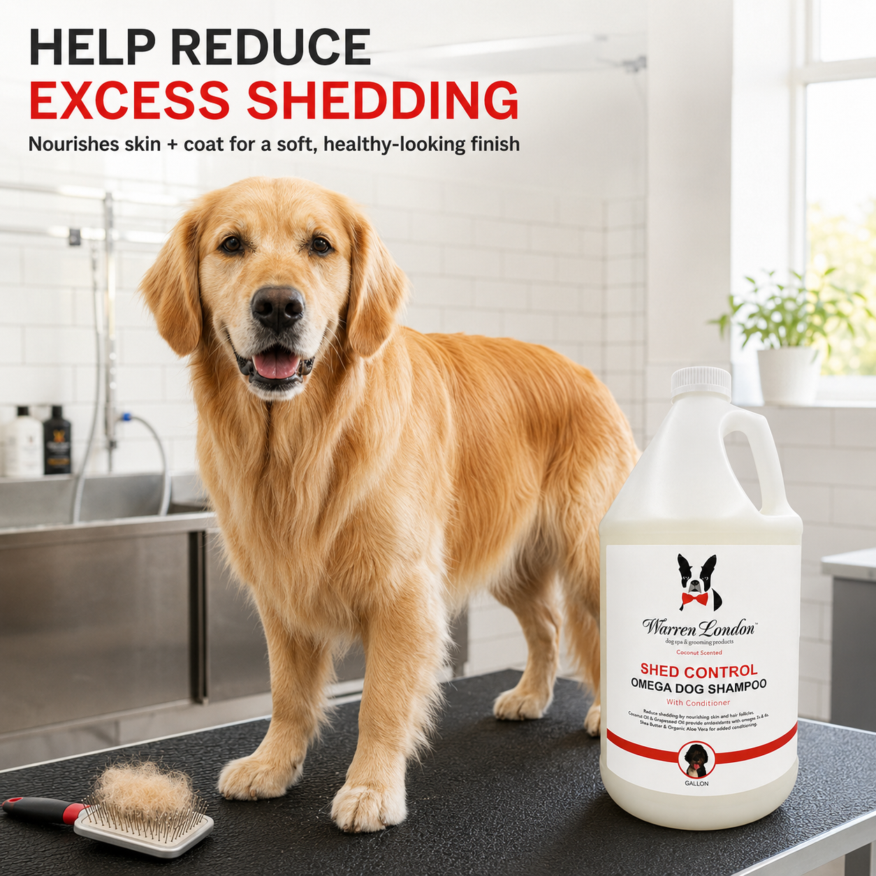 Shed Control Shampoo for Dogs - Professional Size