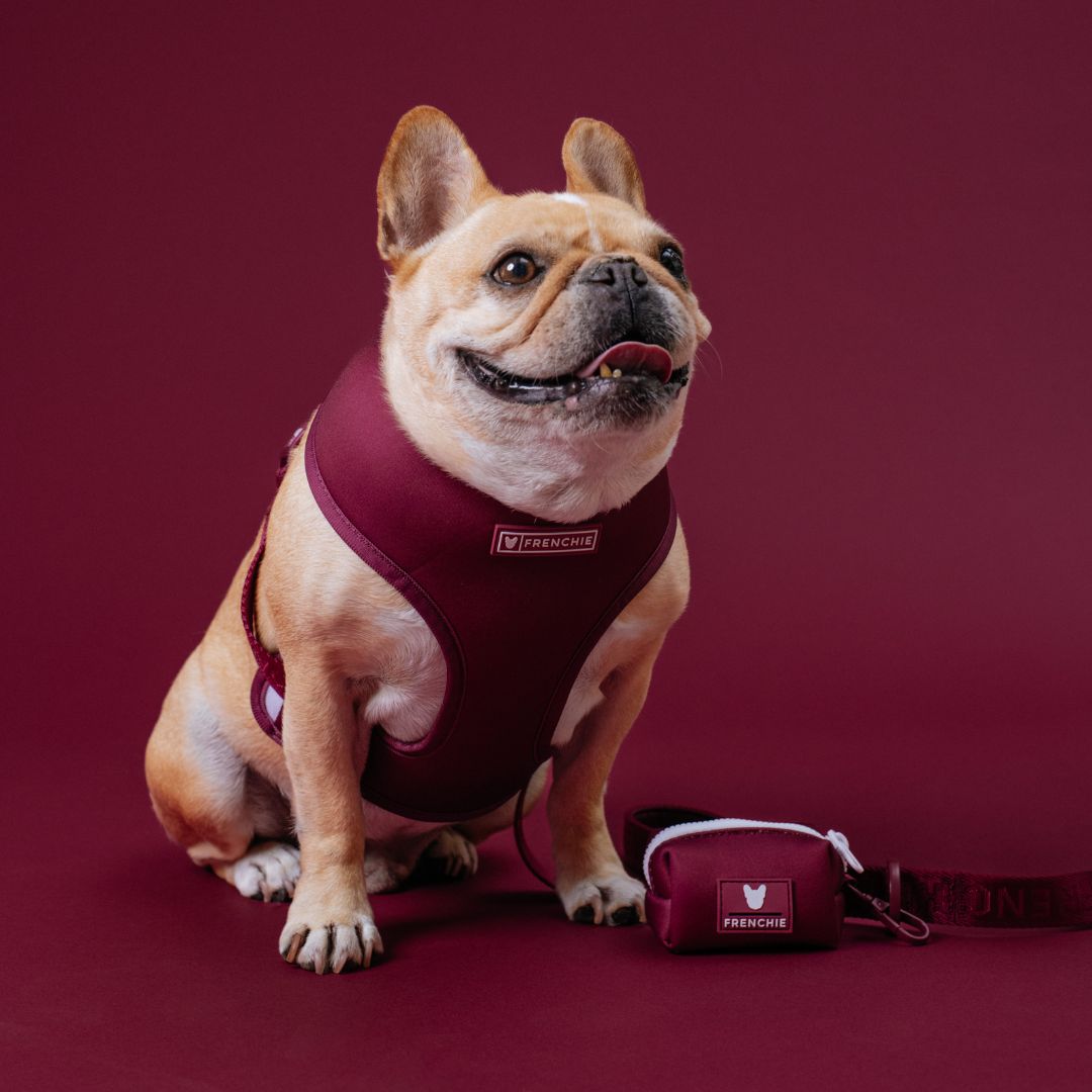 Frenchie Duo Reversible Harness - Solid Ruby