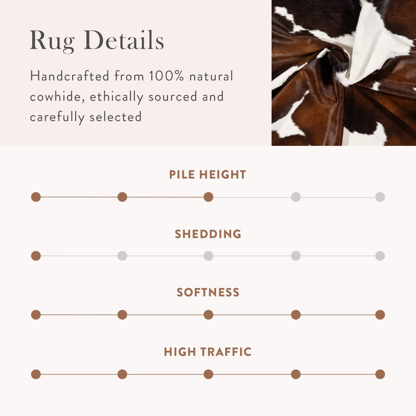 Chocolate and White Brazilian Cowhide Rug: LARGE