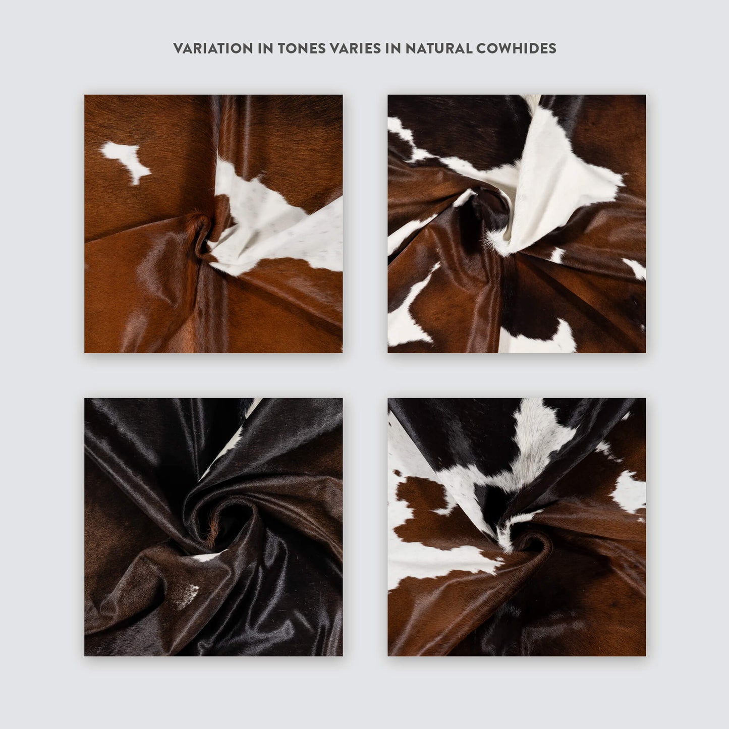 Chocolate and White Brazilian Cowhide Rug: XL
