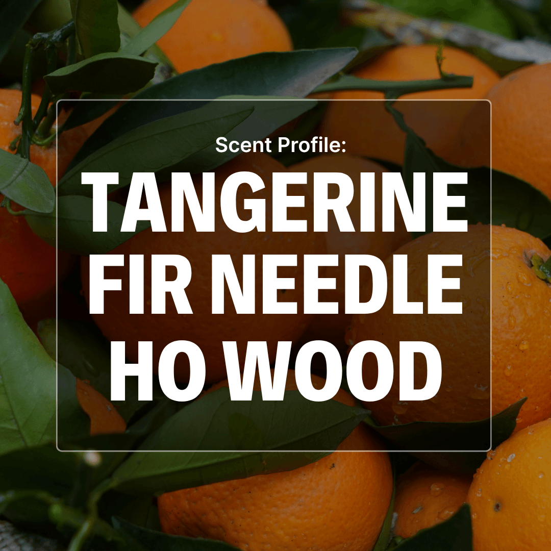 Citrus Hollow Beard Wash - Tangerine, Fir, Ho Wood