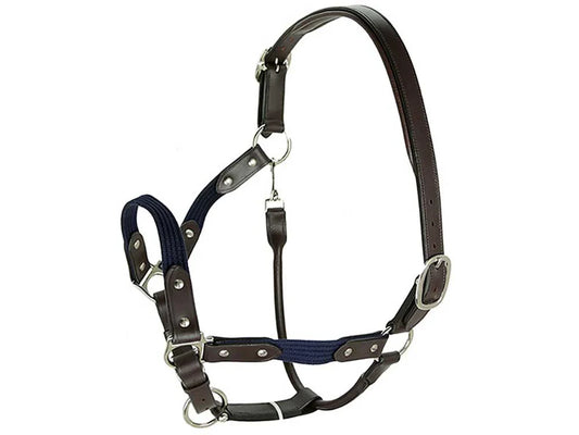 Cotton Webbing & Leather Halter