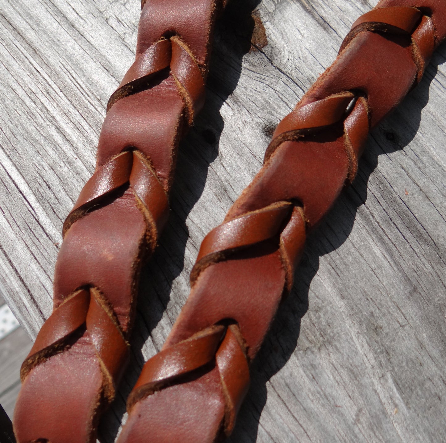 SCB Signature Reins