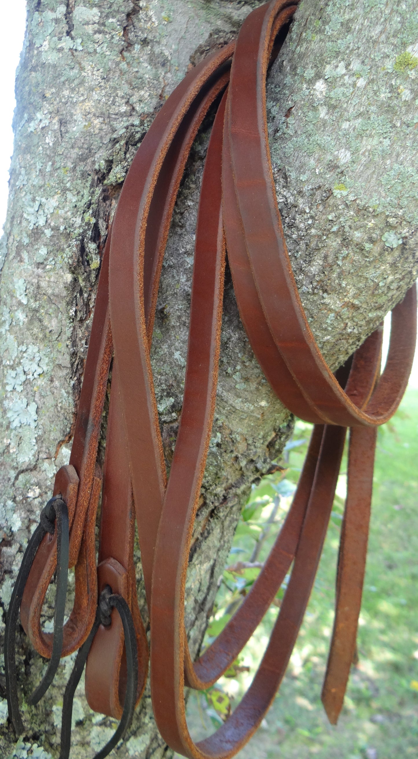 Split Reins
