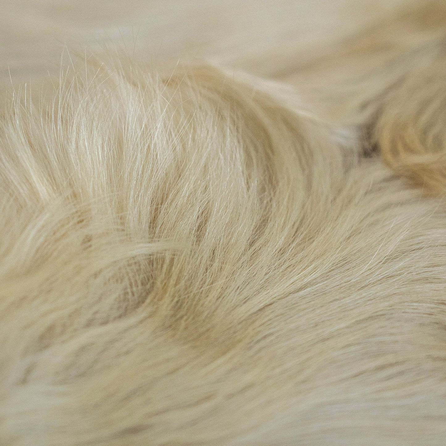 Champagne Brazilian Cowhide Rug: XXL
