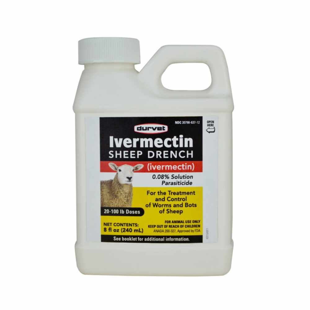 IVERMECTIN SHEEP DRENCH 240ML