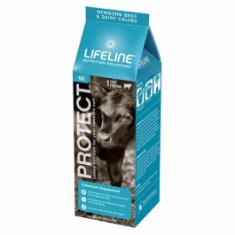 LIFELINE PROTECT 50g SUPPLEMENT