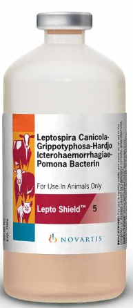 Lepto Shield 5 20Ml/10Dosis