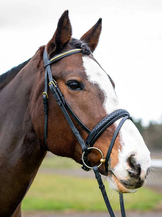 Danube Dressage Bridle with Clincher Browband