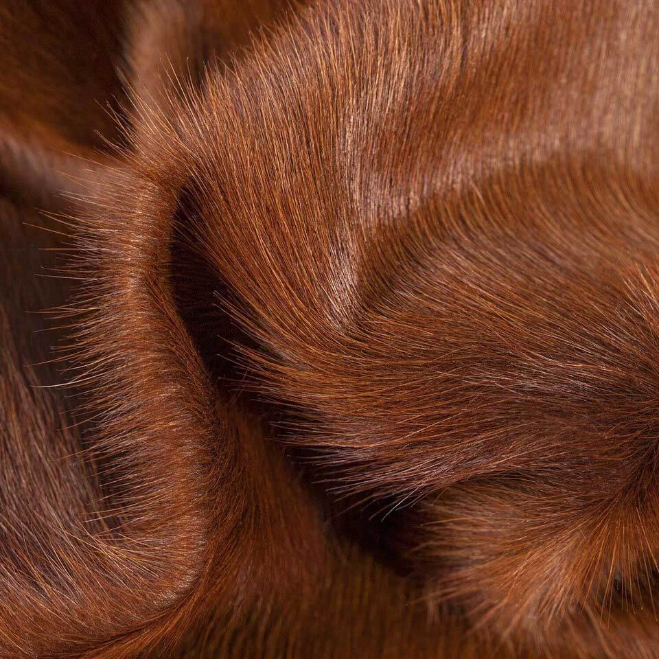 Dark Brown Brazilian Cowhide Rug: XL