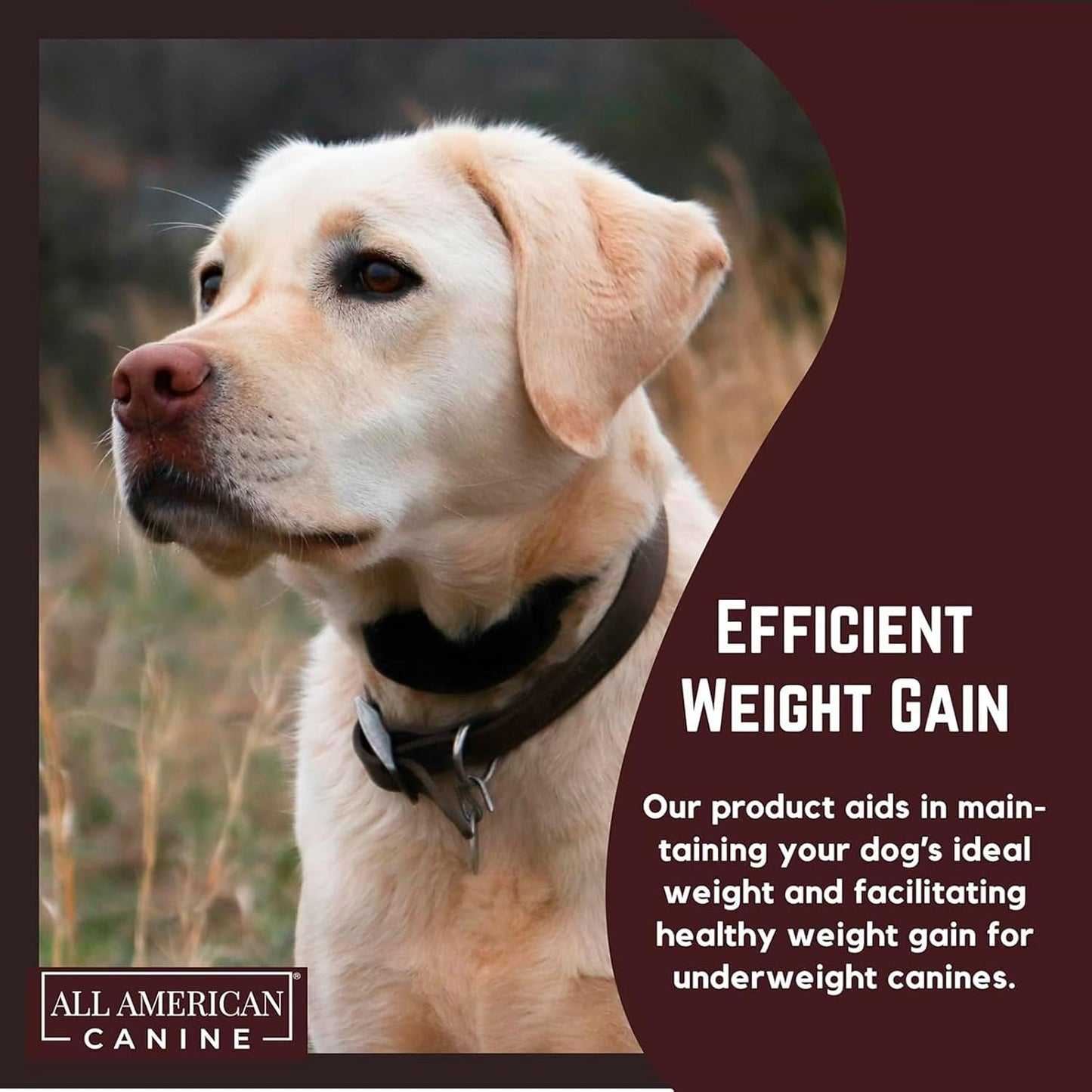Weight Gainer Soft Chews