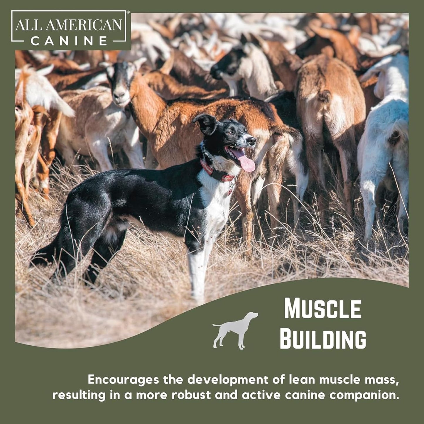 Liquid Weight Gainer 16 oz.