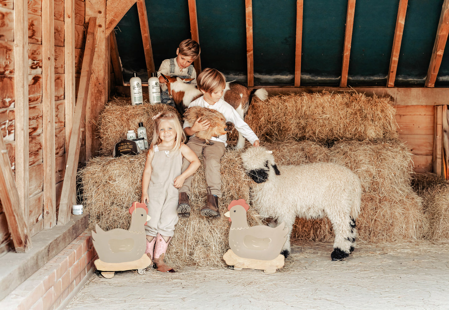 Show Off That Shine Conditioner