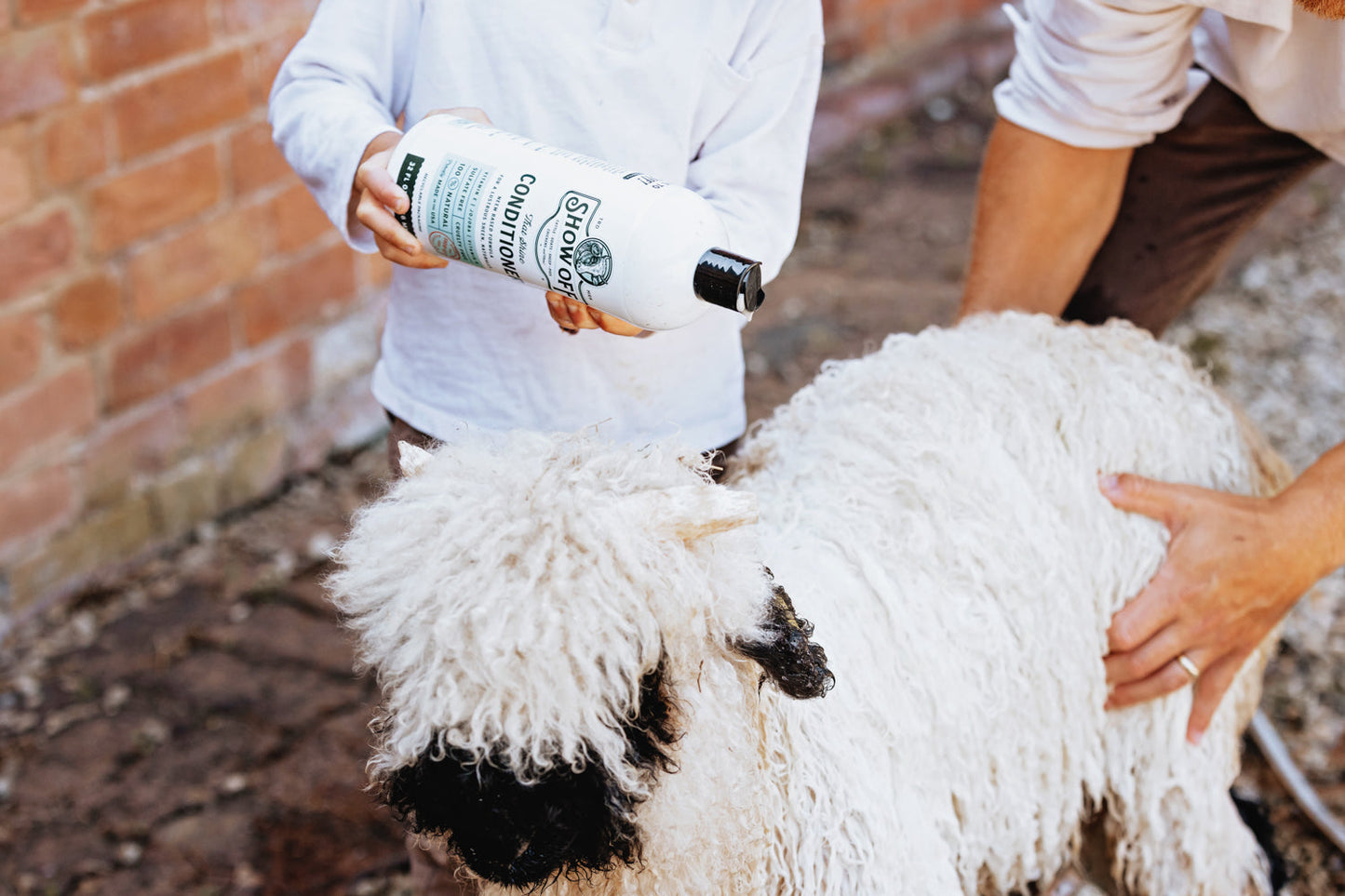 Show Off That Shine Conditioner