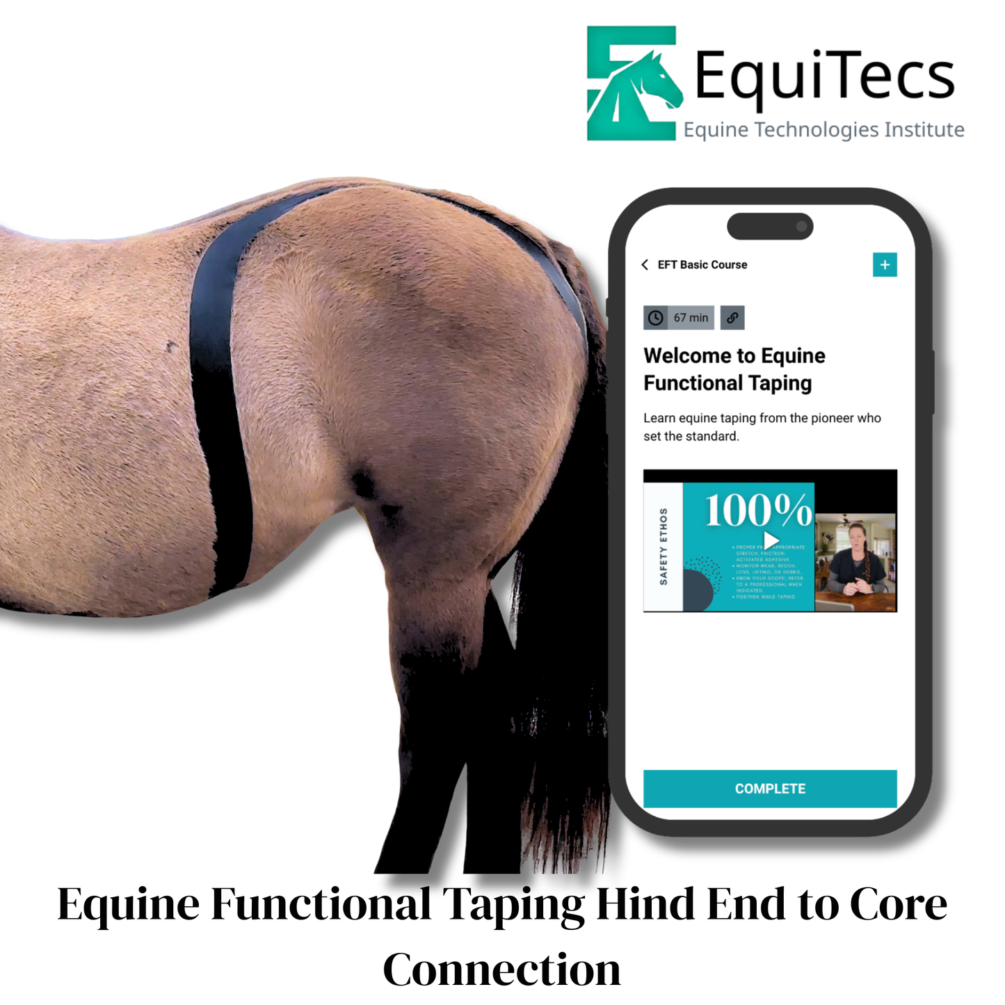 EFT Hind End to Core Connection