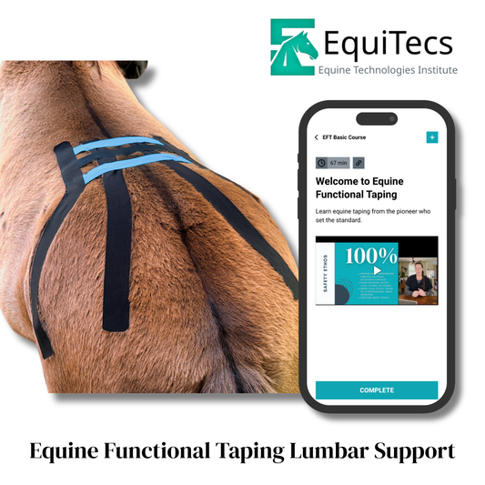 EFT Lumbar Support