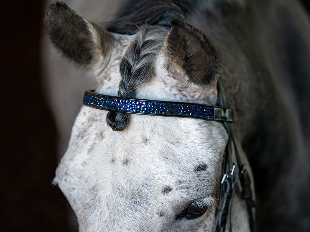 Cerulean Sparkles Browband