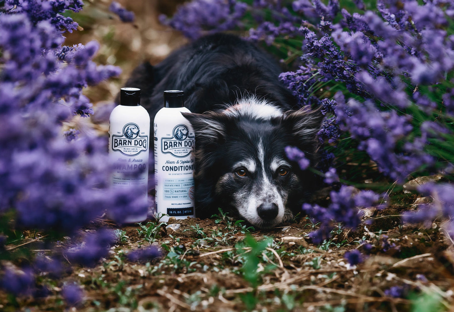 Barn Dog Conditioner
