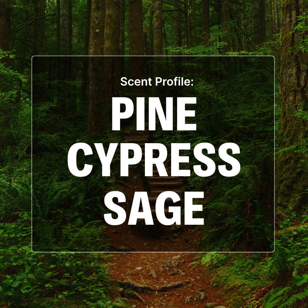 Evergreen Woods Beard Wash - Pine, Cypress, Sage