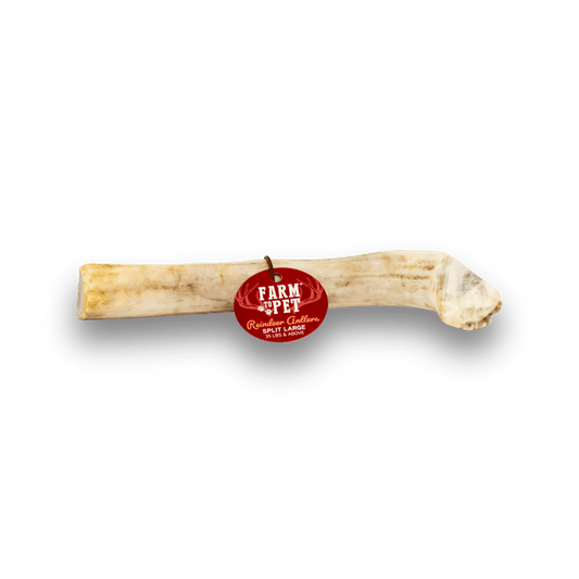 Reindeer Antlers for Dogs | Antler Dog Chews for Aggressive Chewers