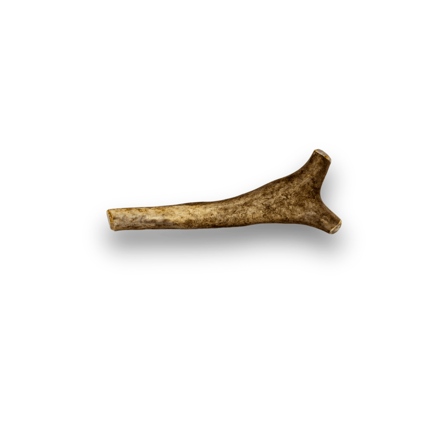 Reindeer Antlers for Dogs | Antler Dog Chews for Aggressive Chewers