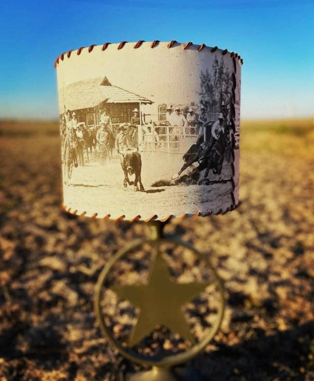 The Team Roping Lampshade