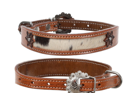 Showman Lilly dog collar