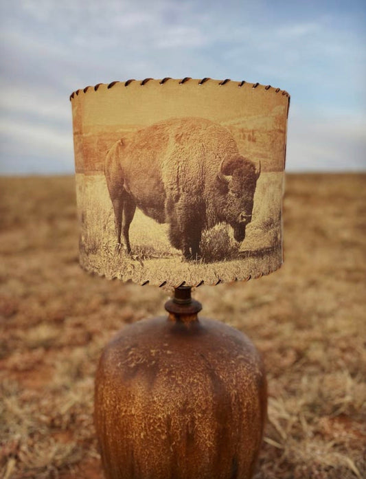 The Buffalo Lampshade