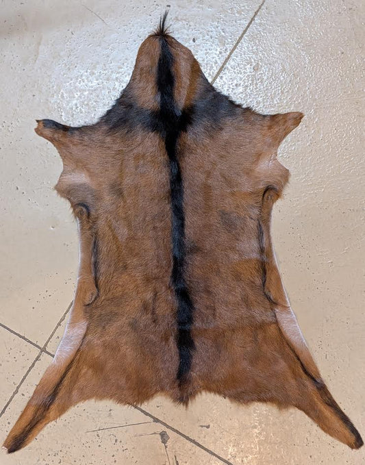 Goat Hide "Red Cross"